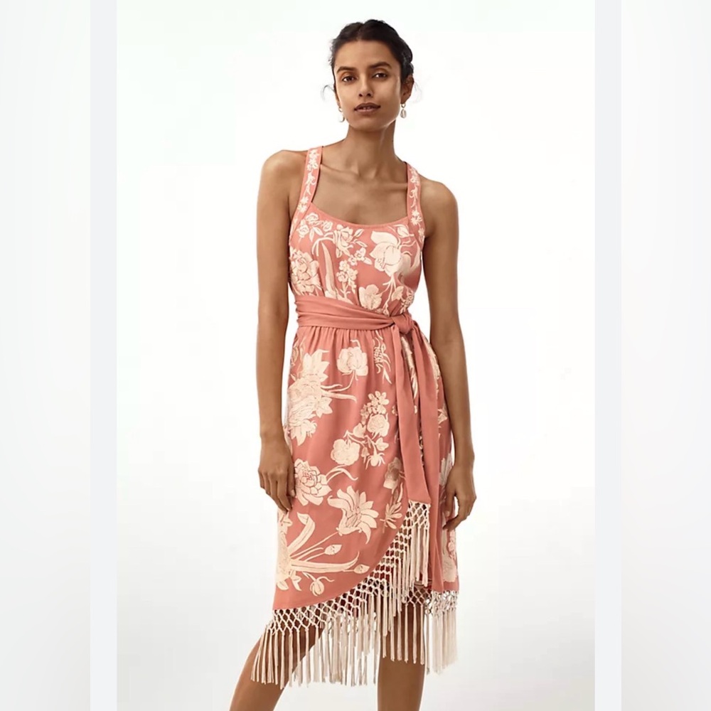 Anthropologie fringe and embroidery dress. Size 4